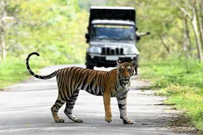 Uttarpradesh Wildlife Package - 1